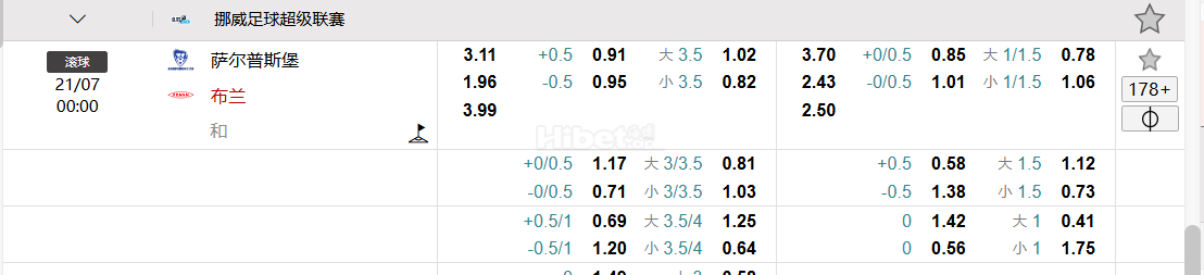 挪威足球超级联赛   萨尔普斯堡 VS  布兰