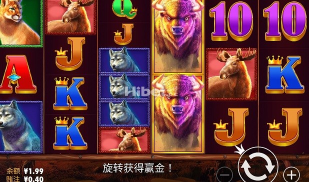 王者野牛是又亏损几块了啊！