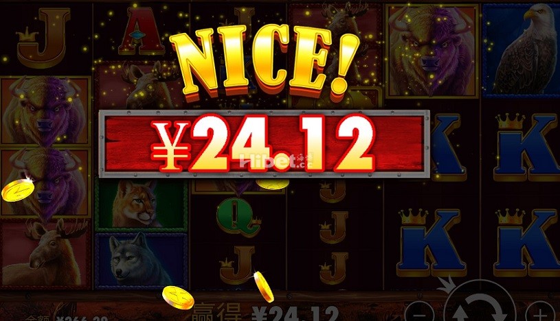 王者野牛玩了是盈利20块钱