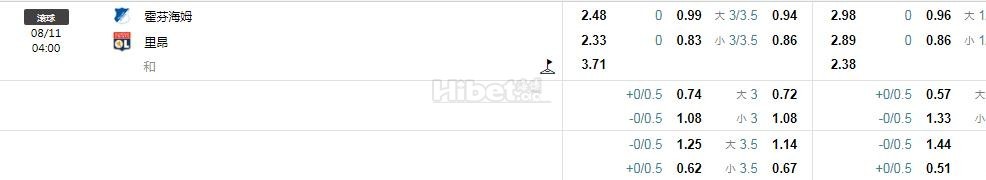 欧联杯：霍芬海姆 VS 里昂