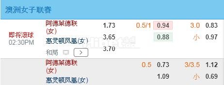 澳女联 11-22 14:30 阿德莱德联女足 VS 惠灵顿凤凰女足